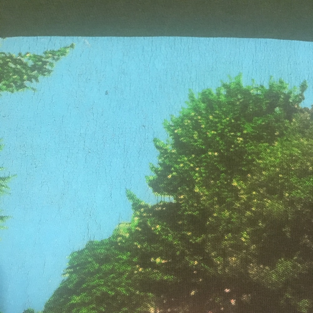 Vtg ‘98 Looney Tunes Abbey Road Beatles Graphic Tee L - Picture 5 of 9